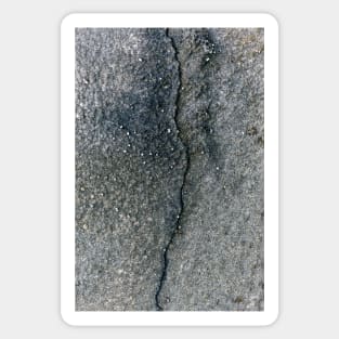 Seaside Rock Texture With Tiny Shells Scattered Across Surface Sticker